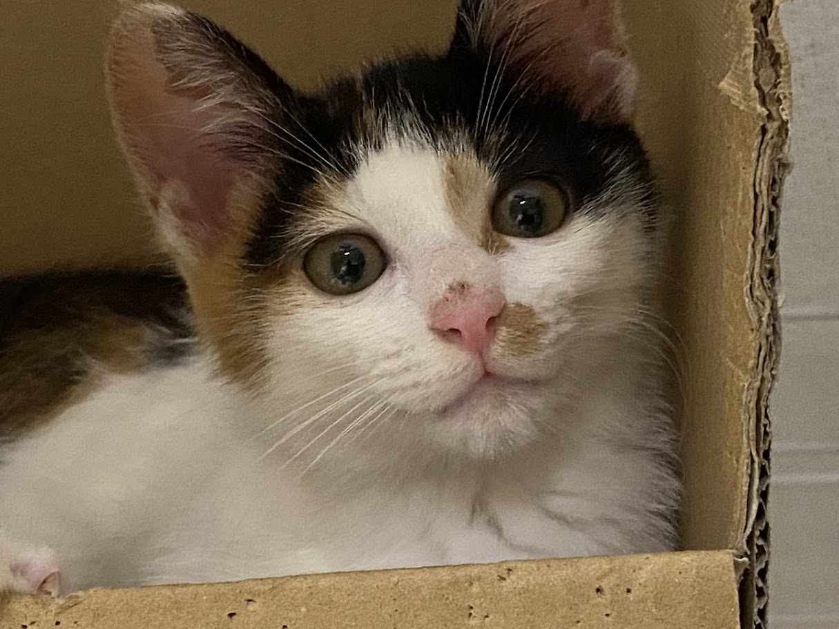 ���o�}���������݂̂���